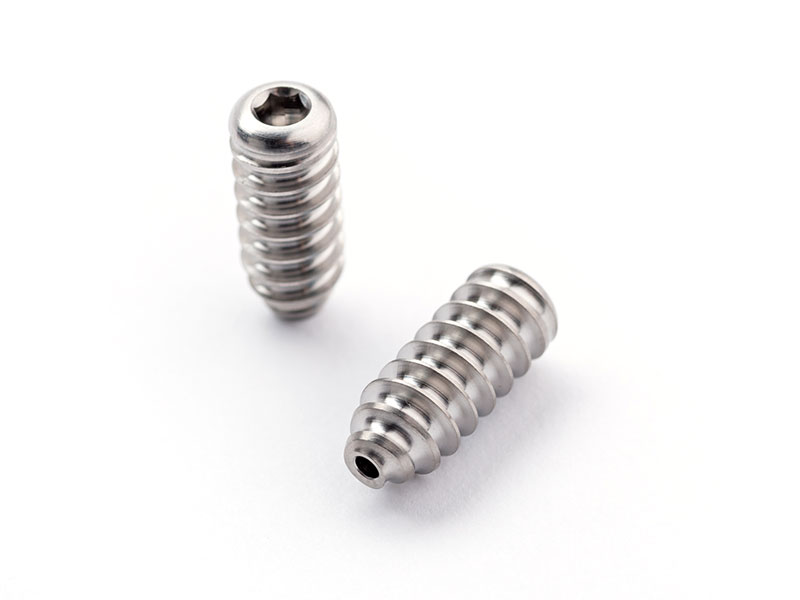 Ti Screws1 Ti Screws1